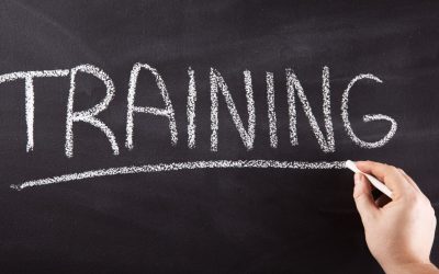 Les formateurs improvisés : ces professions surreprésentées dans le milieu